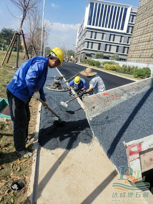 地石丽官网