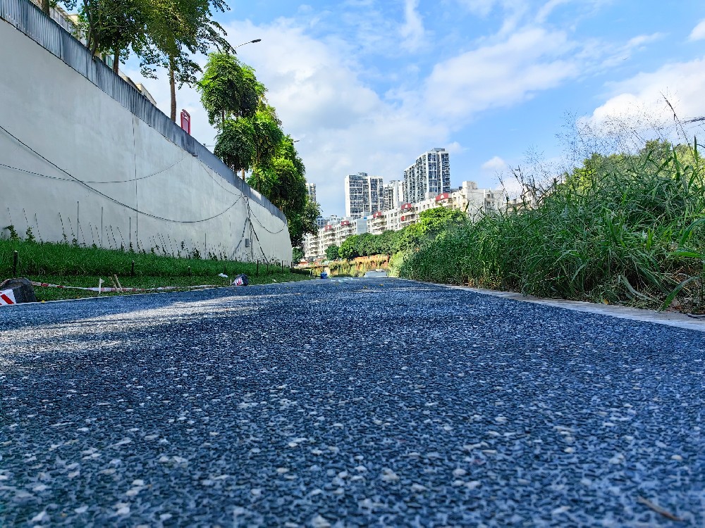 龙岗河万里碧道—露骨料项目